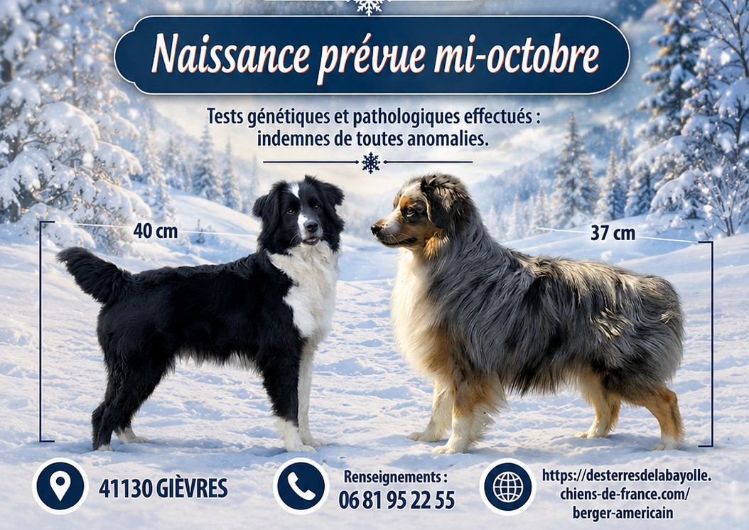 Naissance prévue !
