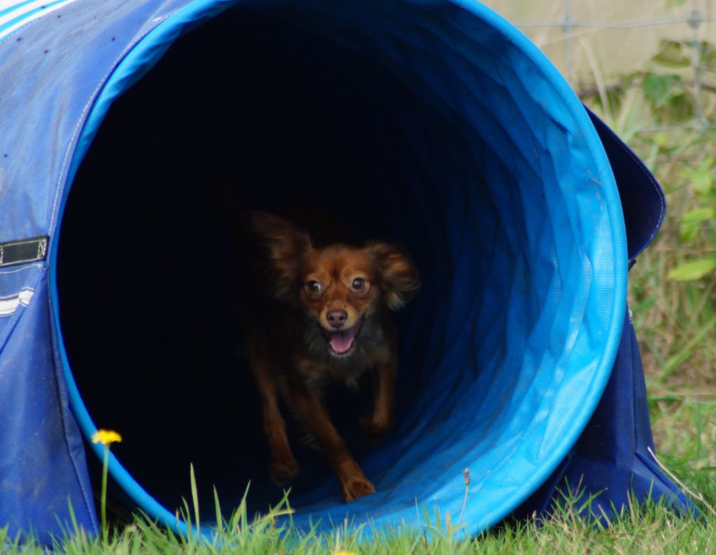 Agility