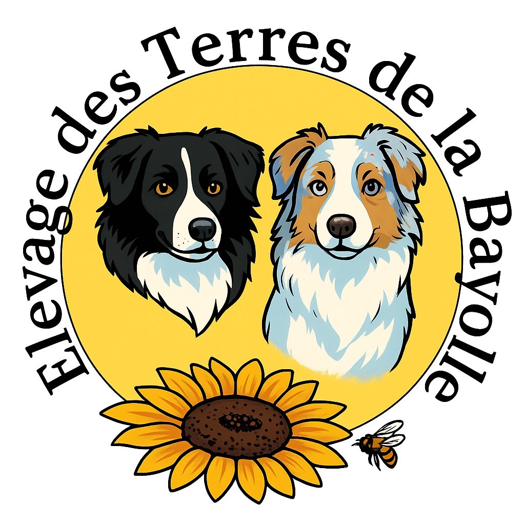 Des Terres De La Bayolle